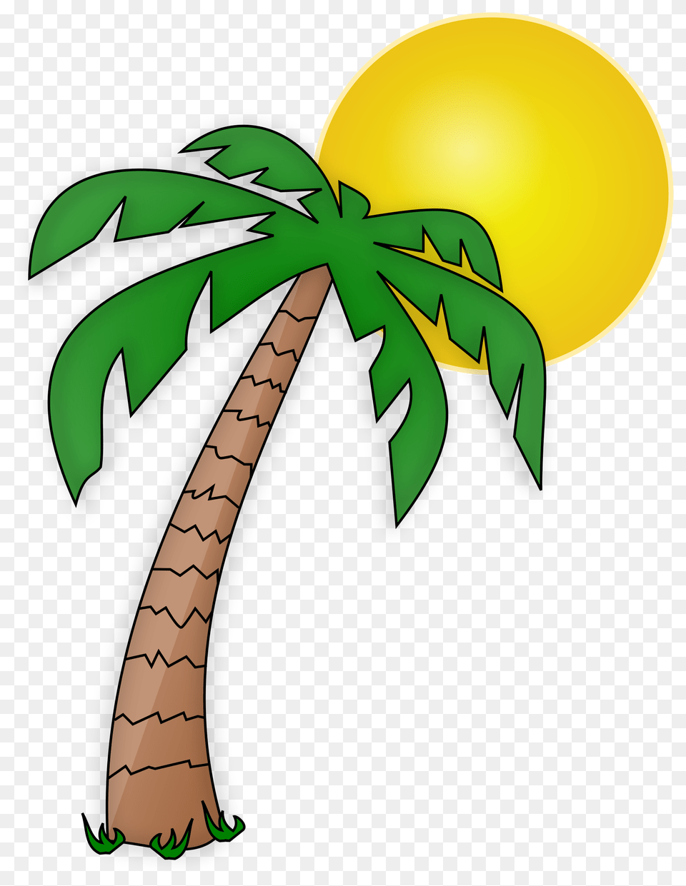 Plant And Sun Images, Palm Tree, Tree, Dynamite, Weapon Png