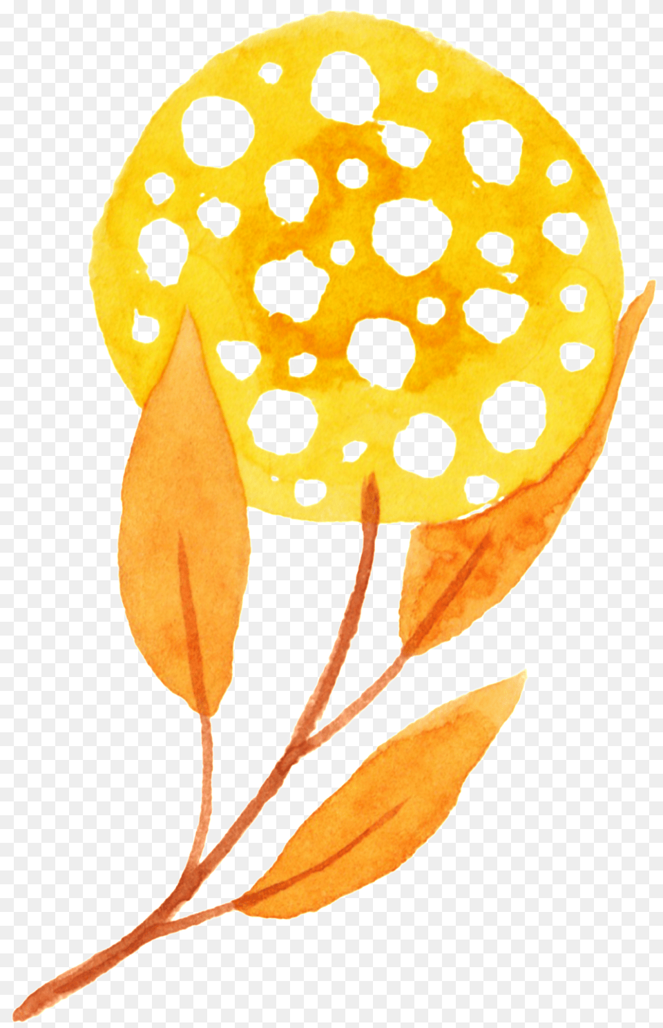 Plant Autumn Transparent Free Buckle Dot, Leaf, Food, Sweets, Pattern Png