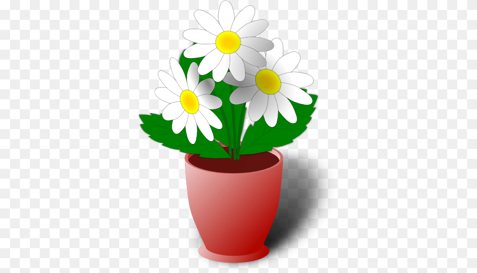 Plant Background Clipart Collection, Daisy, Flower, Potted Plant, Dynamite Free Png Download