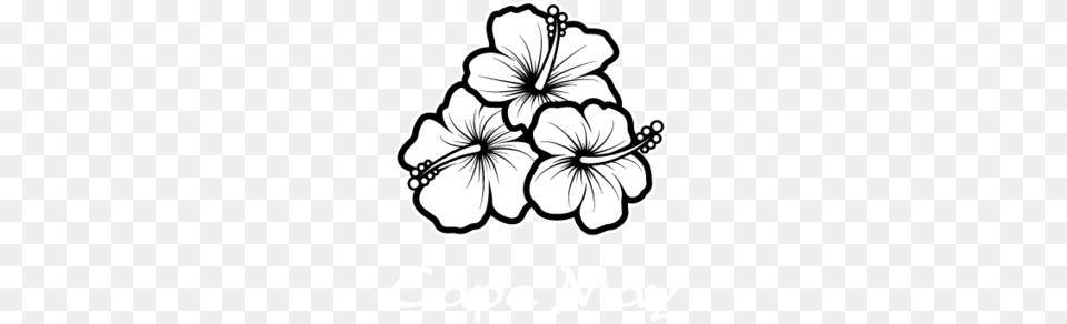 Plant Black And White Clipart, Flower, Hibiscus, Art, Ammunition Png