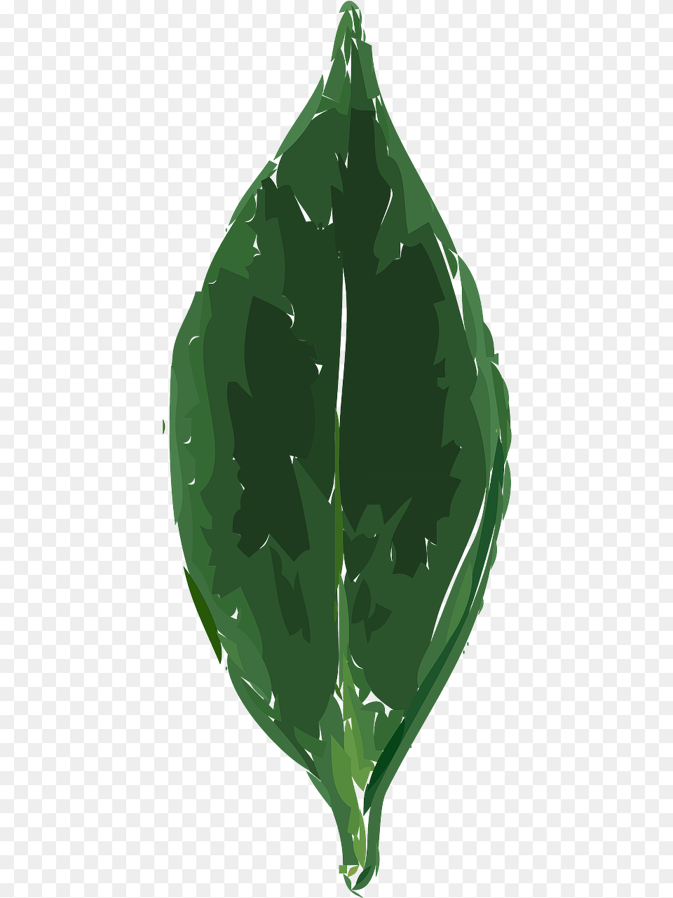 Plant Cartoon, Leaf, Adult, Person, Man Png