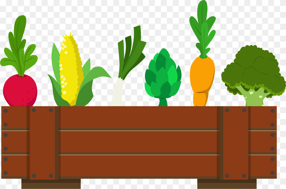Plant Cartoon, Vase, Pottery, Potted Plant, Planter Free Transparent Png