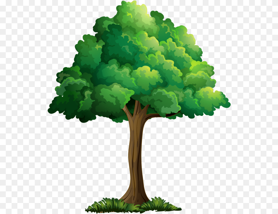 Plant Cartoon Cartoon Trees Picture Tree Realistic Tree Cartoon Drawing, Green, Vegetation, Cross, Symbol Free Png Download