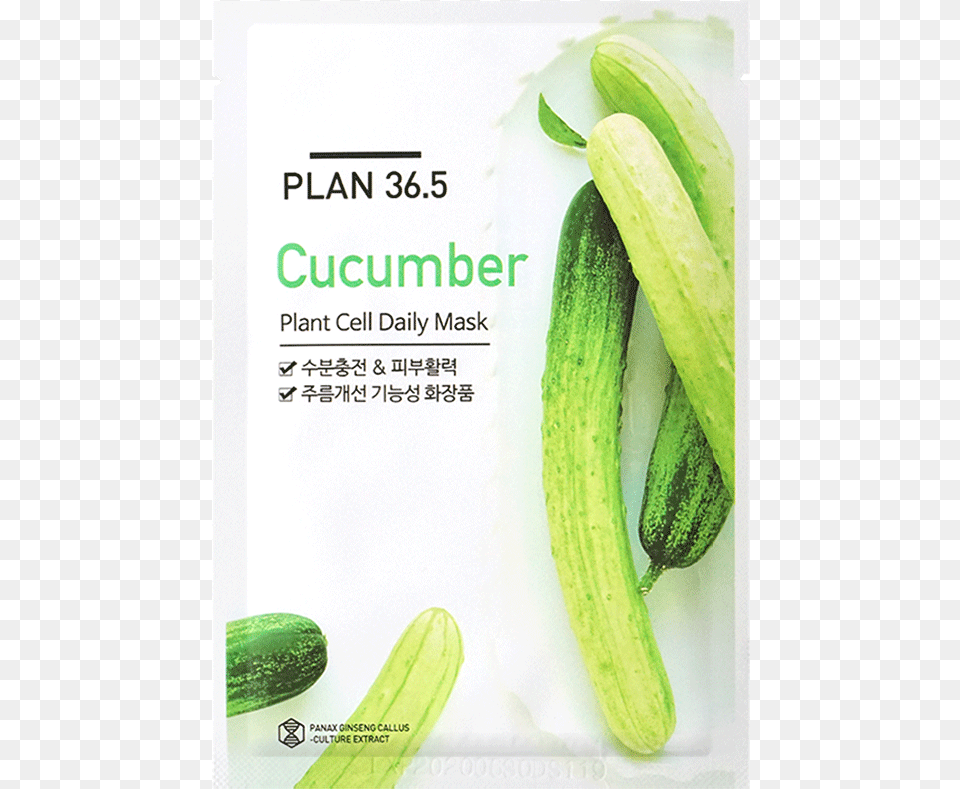 Plant Cell, Cucumber, Food, Produce, Vegetable Png Image