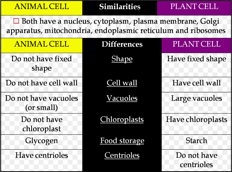 Plant Cell, Text Png Image