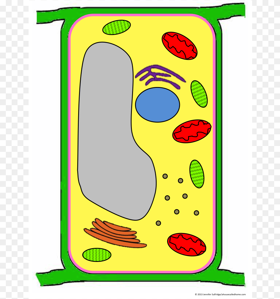 Plant Cell Clipart, Applique, Pattern, Footprint, Smoke Pipe Free Transparent Png
