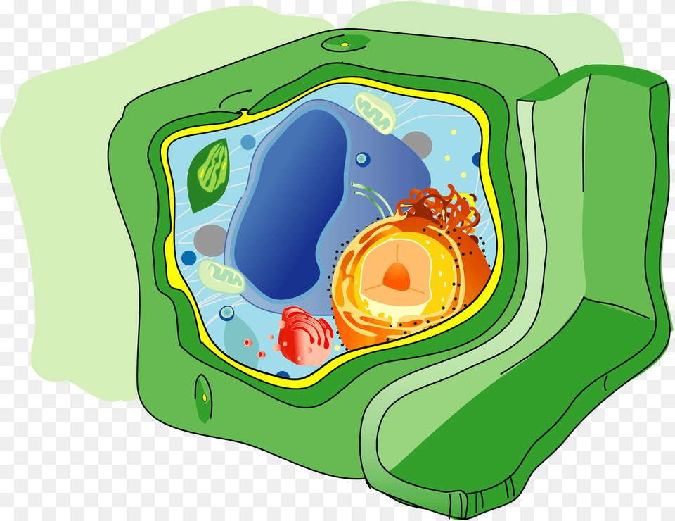 Plant Cell Clipart, Outdoors, Art, Painting, Diaper Free Transparent Png