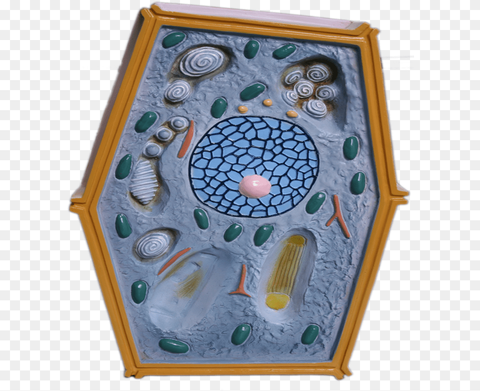 Plant Cell Model For Biology Plant Cell Model For Plants, Art, Pattern, Pottery, Painting Free Png Download