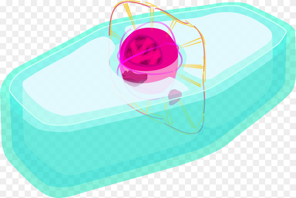 Plant Cell Prophase, Hot Tub, Tub Png Image