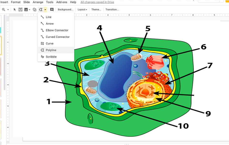 Plant Cell Unlabeled, Diagram Free Transparent Png