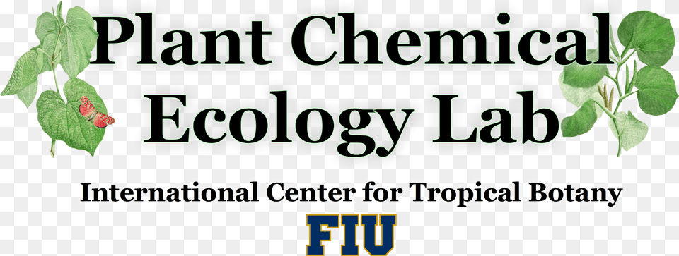 Plant Chemical Ecology At Fiu Parallel, Herbs, Leaf, Herbal, Fruit Png