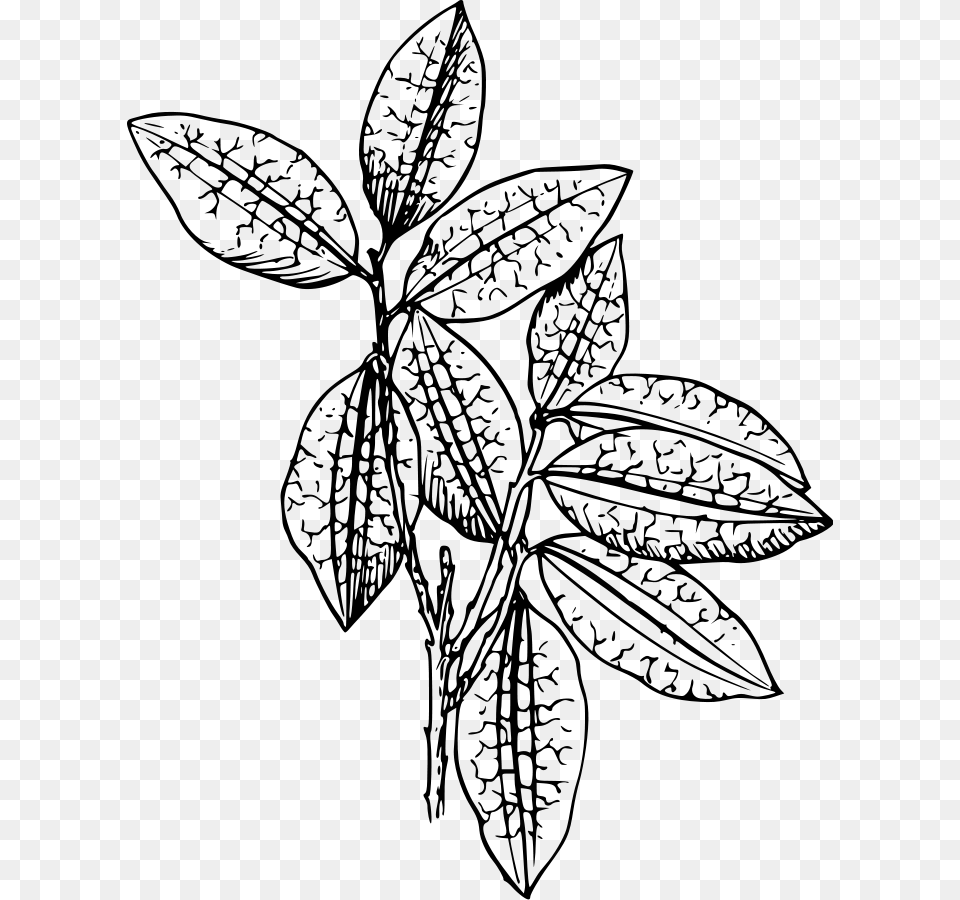 Plant Clip Art, Gray Png