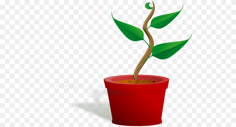 Plant Clip Art, Leaf, Flower Free Png