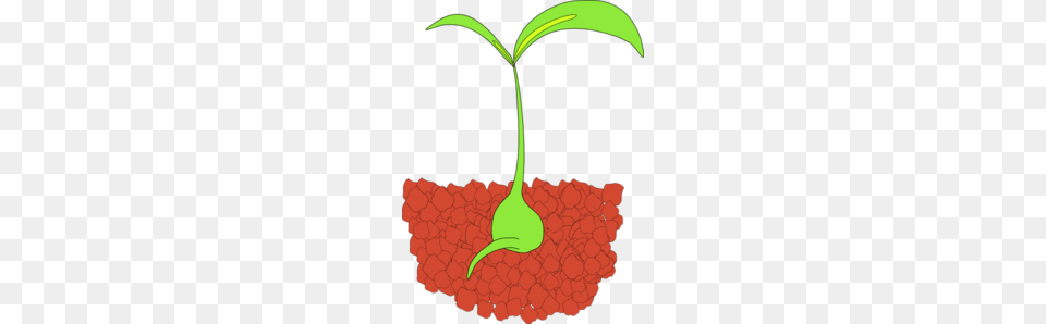 Plant Clip Art, Food, Fruit, Leaf, Produce Png Image