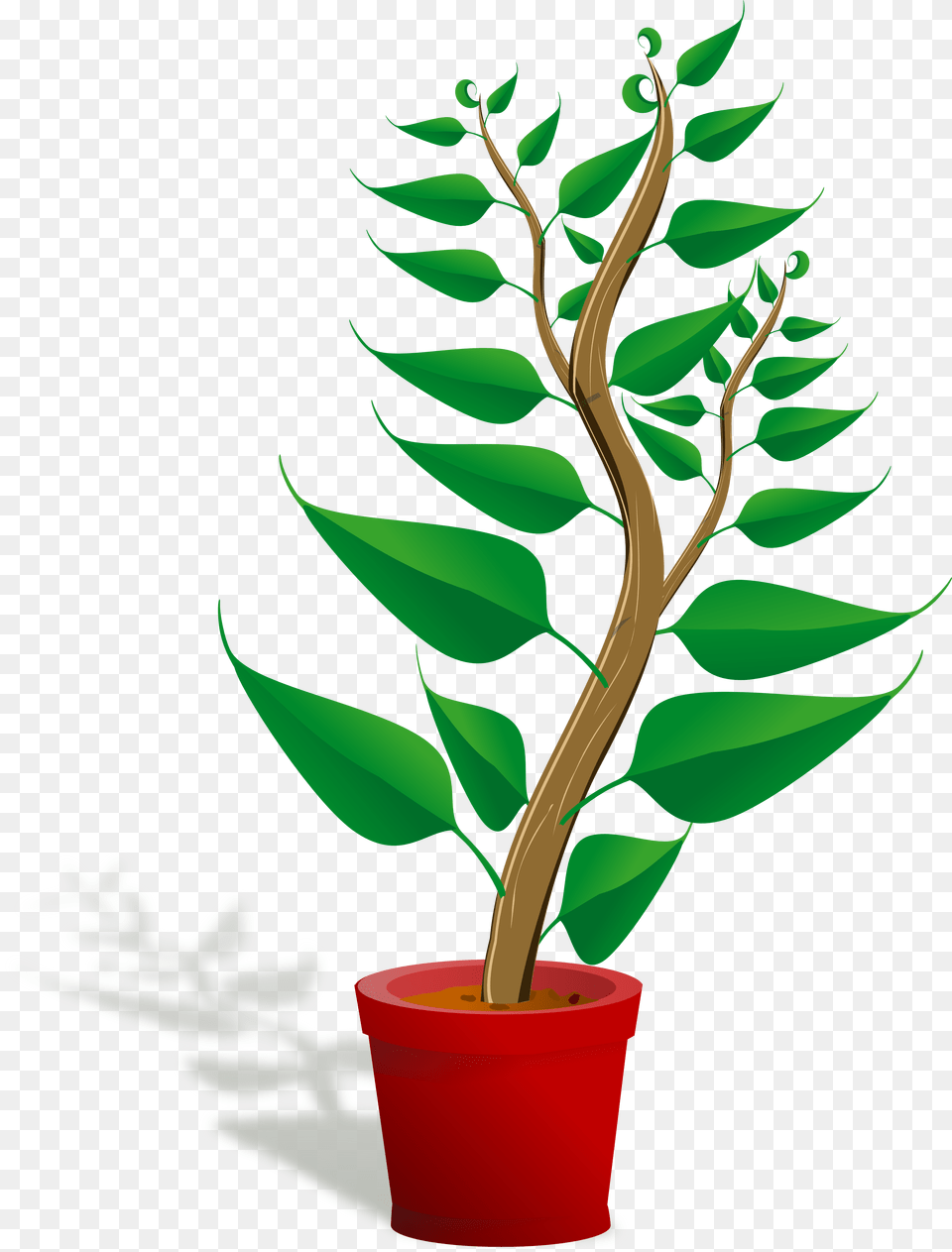 Plant Clip Art, Leaf, Tree, Flower, Flower Arrangement Free Png