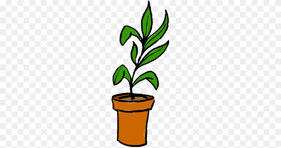 Plant Clip Art, Leaf, Potted Plant, Herbal, Herbs Png