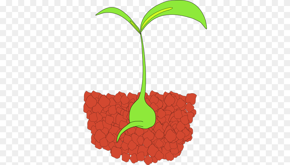 Plant Clipart, Leaf, Food, Fruit, Produce Free Png