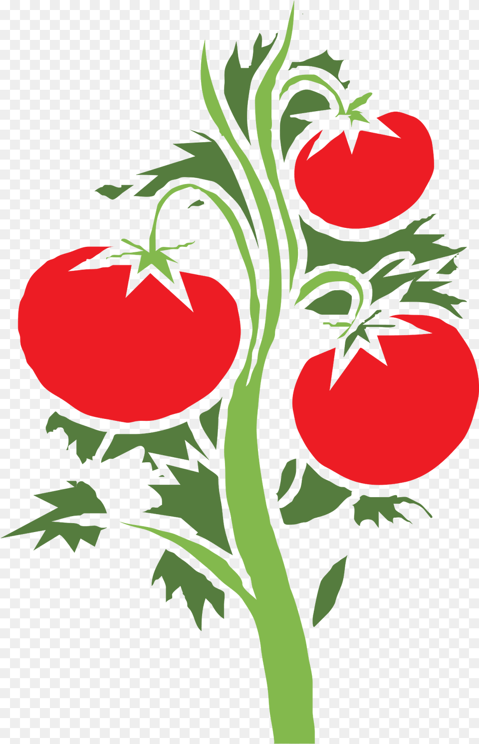 Plant Clipart, Art, Graphics, Food, Produce Png