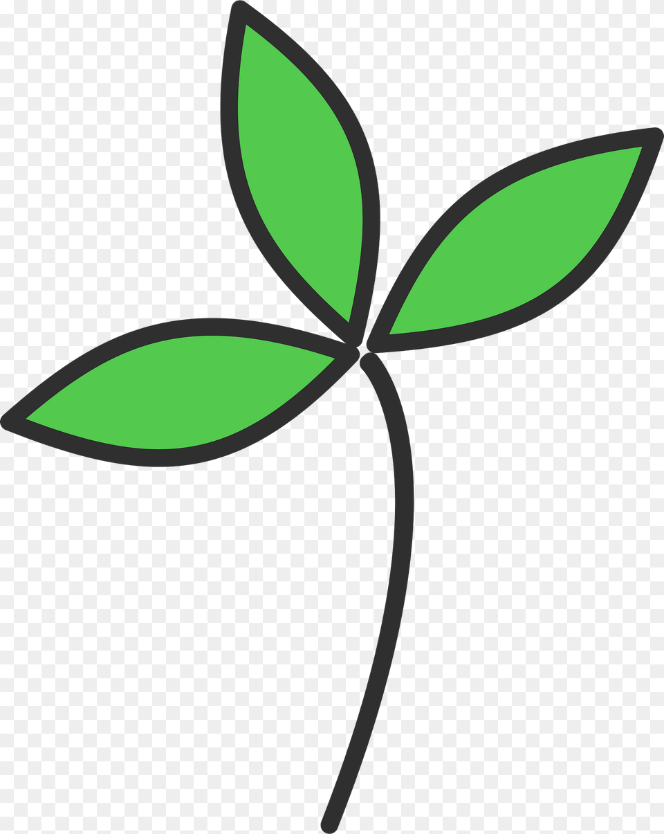 Plant Clipart, Green, Leaf, Flower Png