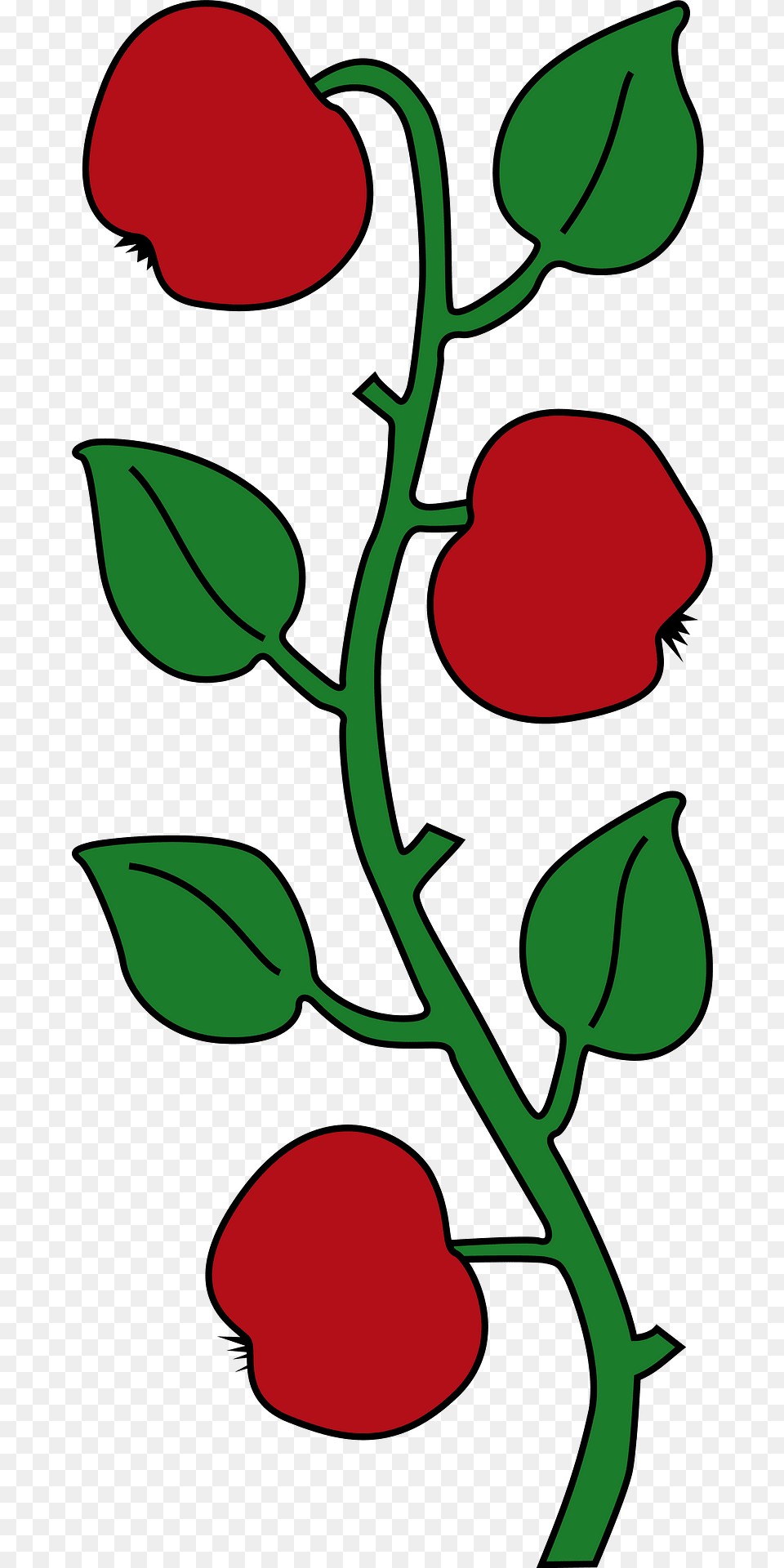 Plant Clipart, Flower, Rose, Petal, Food Free Png Download