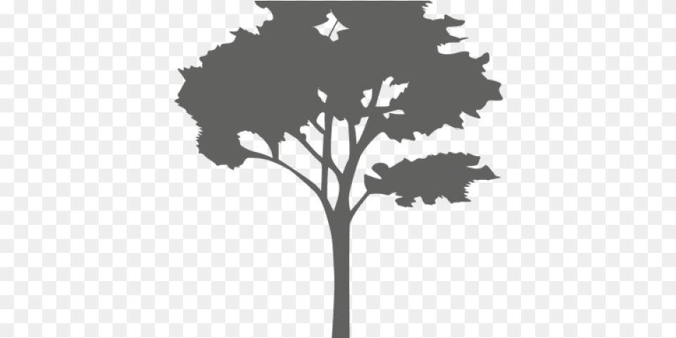 Plant Clipart Background Silhouette Cut Out Tree, Stencil, Art, Drawing Free Png