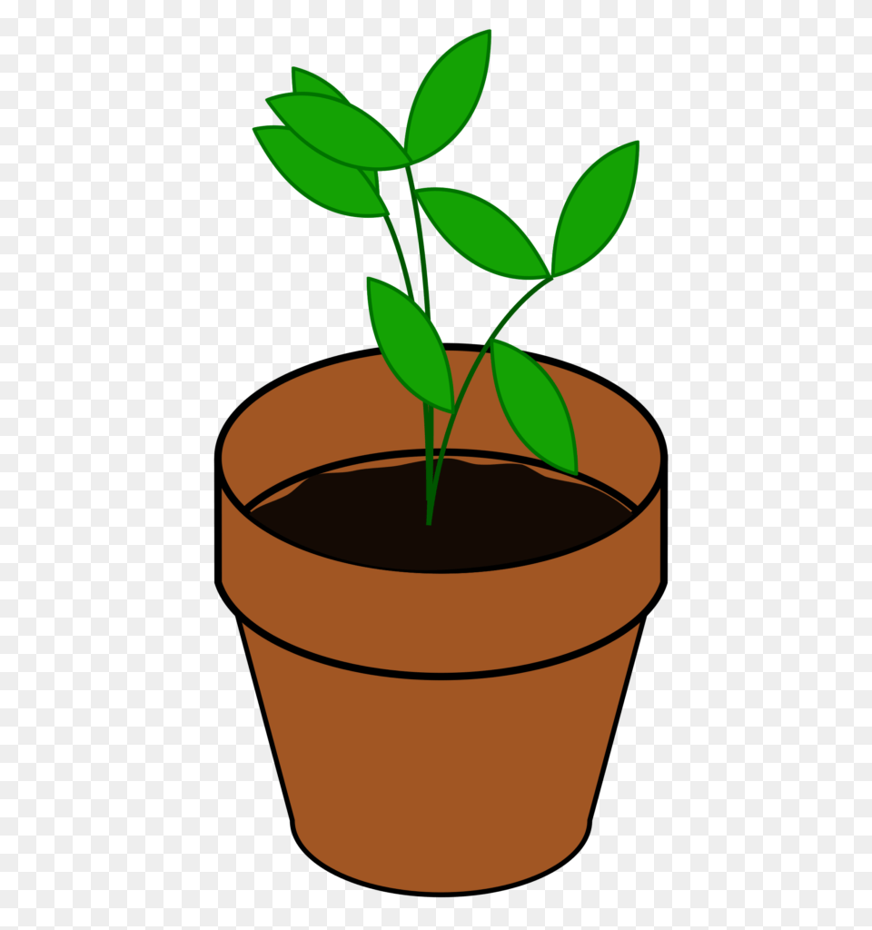 Plant Clipart Clip Art Plants, Leaf, Potted Plant, Cookware, Herbal Free Transparent Png