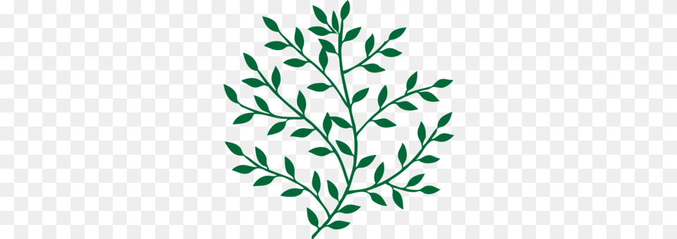 Plant Clipart Download, Leaf, Pattern, Herbal, Herbs Free Png
