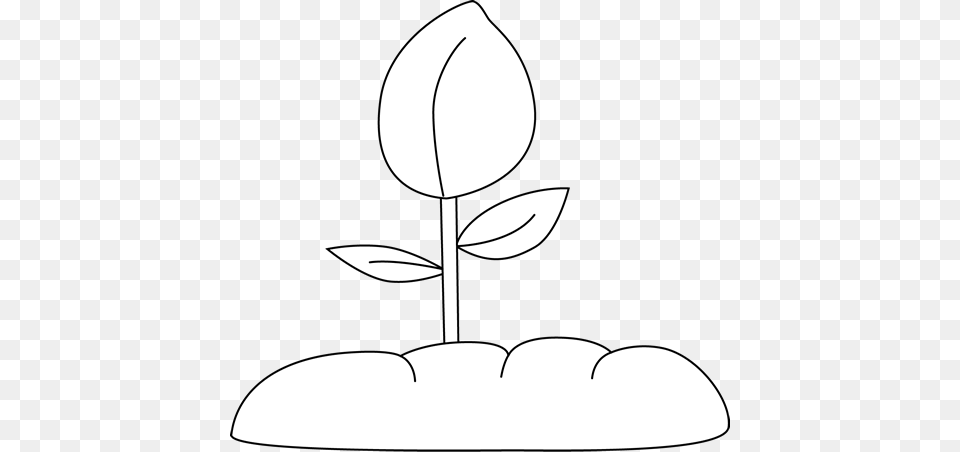 Plant Clipart Plant Sprout Sprout Clipart Black And White, Leaf, Art, Drawing Png