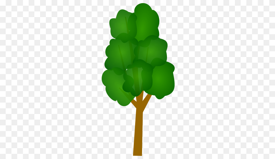 Plant Clipart Tall, Tree, Green, Person, Leaf Free Transparent Png