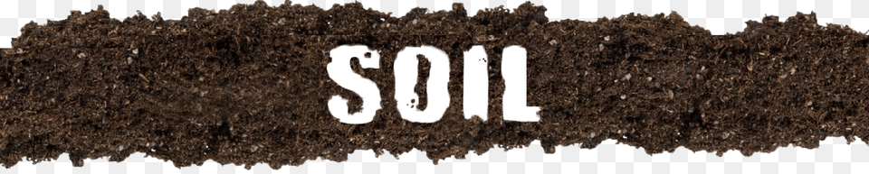 Plant Cultivation In Natural Media Soil Coco, Tobacco Free Png Download