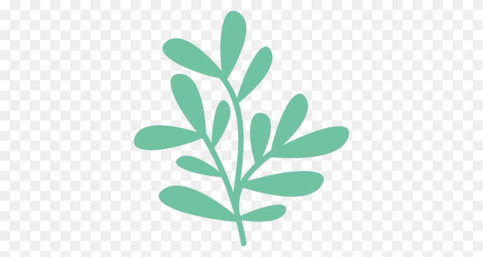 Plant Doodle Illustration Yellow, Herbal, Leaf, Green, Herbs Free Png