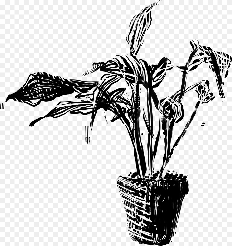 Plant Drawing Illustration, Gray Free Png
