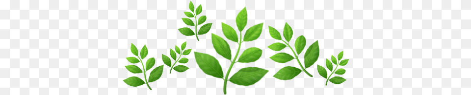 Plant Emoji Crown, Green, Herbal, Herbs, Leaf Free Png