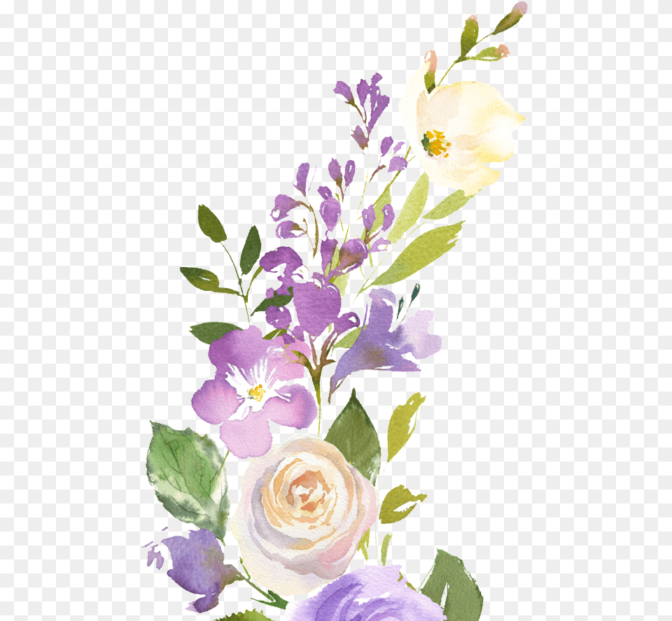Plant Files, Art, Pattern, Graphics, Flower Arrangement Png Image