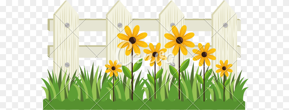 Plant Flower Garden Clip Art, Fence, Picket, Daisy, Gate Free Transparent Png