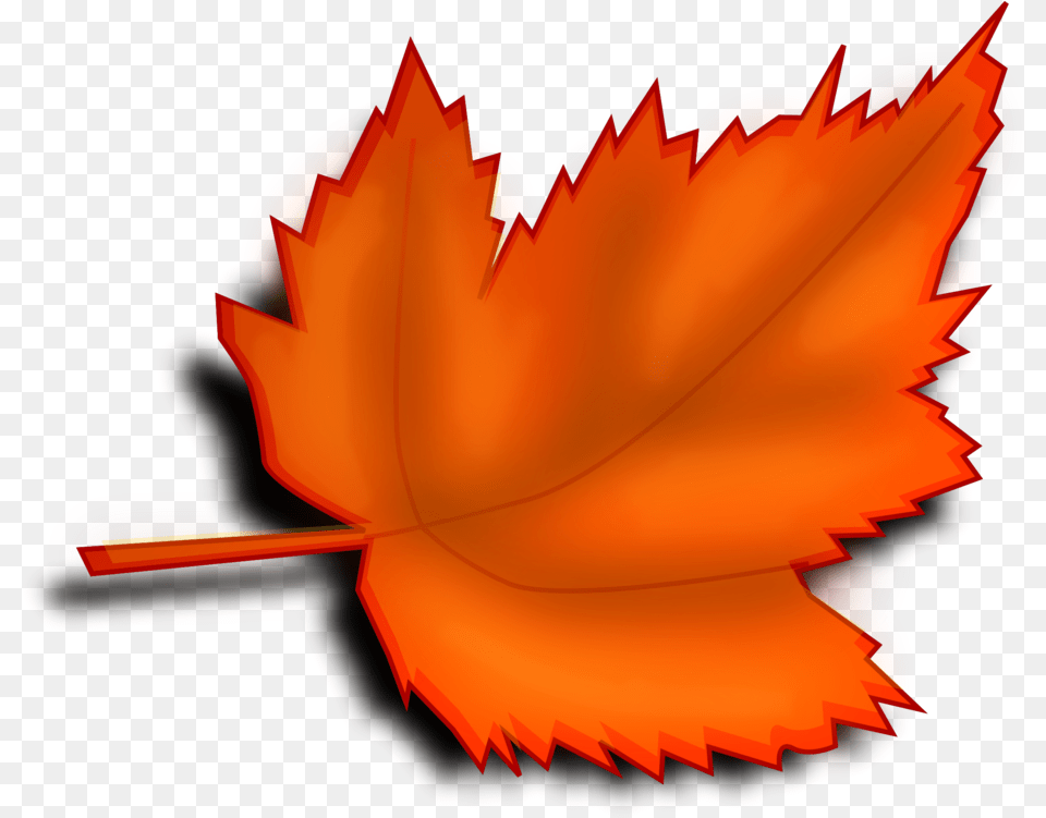 Plant Flower Leaf Clipart Autumn Leaf Clipart Transparent, Tree, Maple Leaf, Maple Png Image