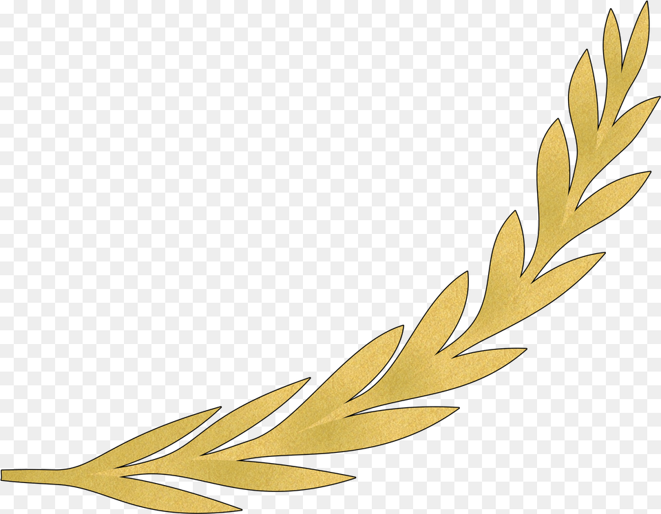 Plant Flower Leaf Clipart Gold Olive Branch Background, Grass, Tree, Pattern, Art Png