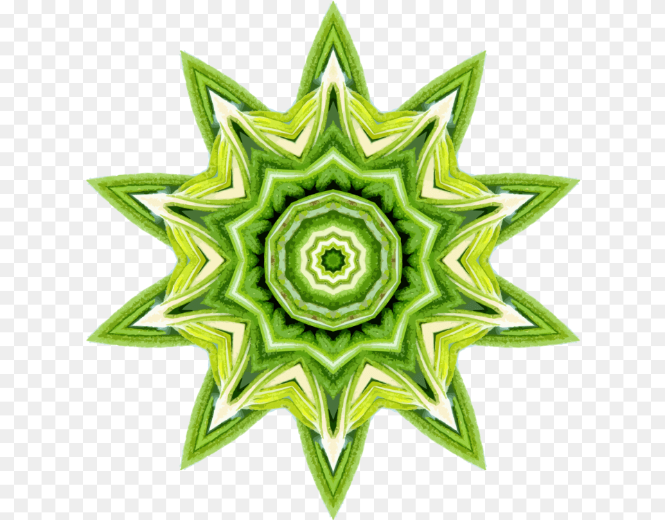 Plant Flower Leaf Clipart Kaleidoscope Fruit, Pattern, Green, Art, Floral Design Png Image
