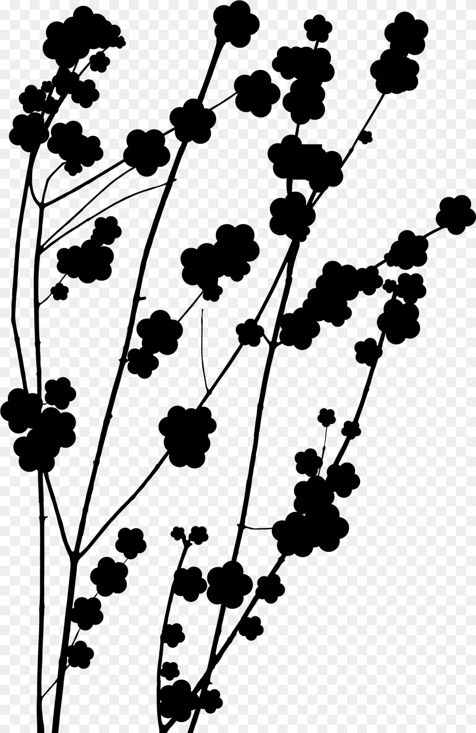 Plant Flower Leaf Pattern Stem Twig Clipart Silhouette, Gray Free Png Download