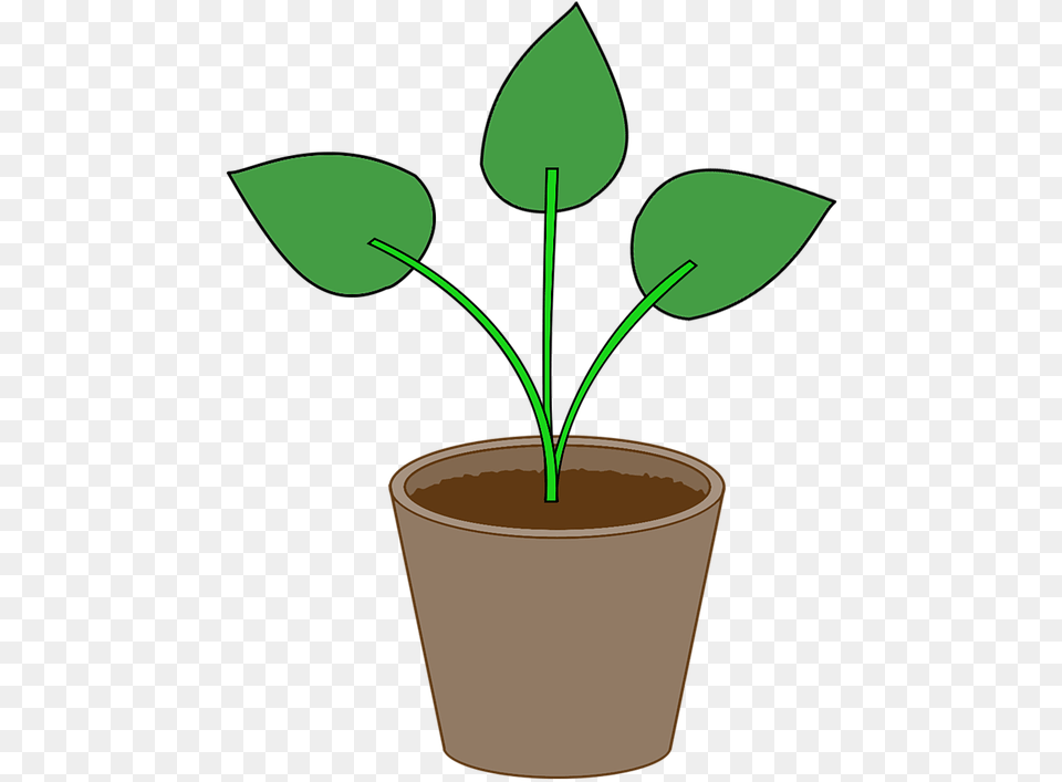 Plant Flowerpot Pot Gardening Leaf Houseplant Gambar Pot Bunga, Herbal, Herbs, Potted Plant Png