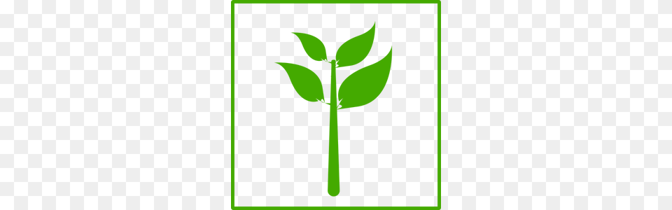 Plant Free Clipart, Green, Herbal, Herbs, Leaf Png
