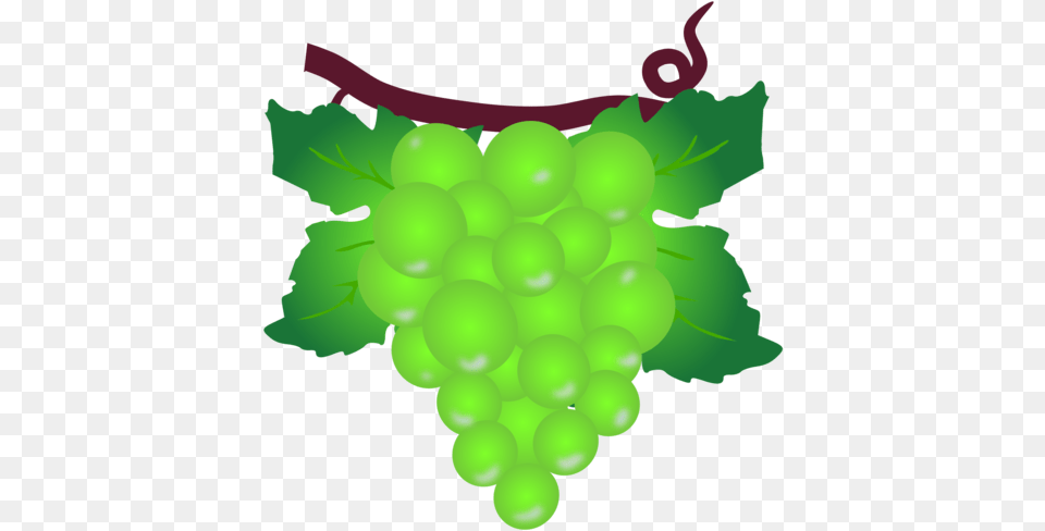 Plant Grape Grapevine Family Green Grapes Clipart, Food, Fruit, Produce, Baby Free Png