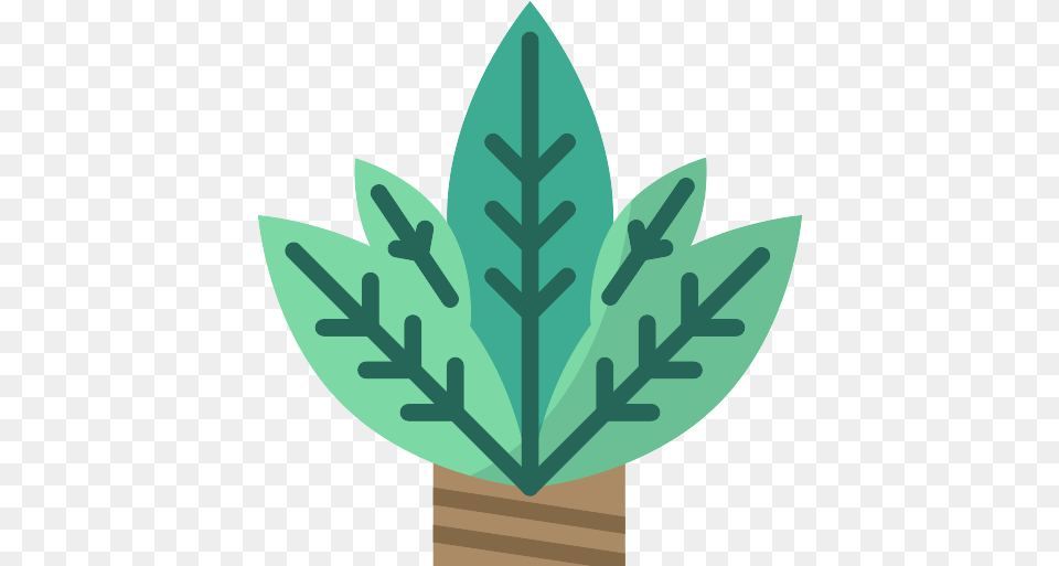 Plant Grass Vector Svg Icon Christmas Snowflake, Leaf, Herbal, Herbs Free Transparent Png