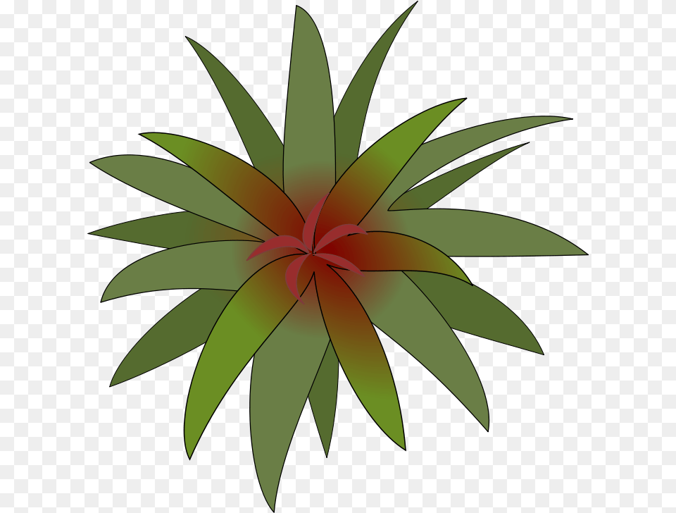 Plant Great Interior Bromelia, Art, Floral Design, Graphics, Pattern Free Png