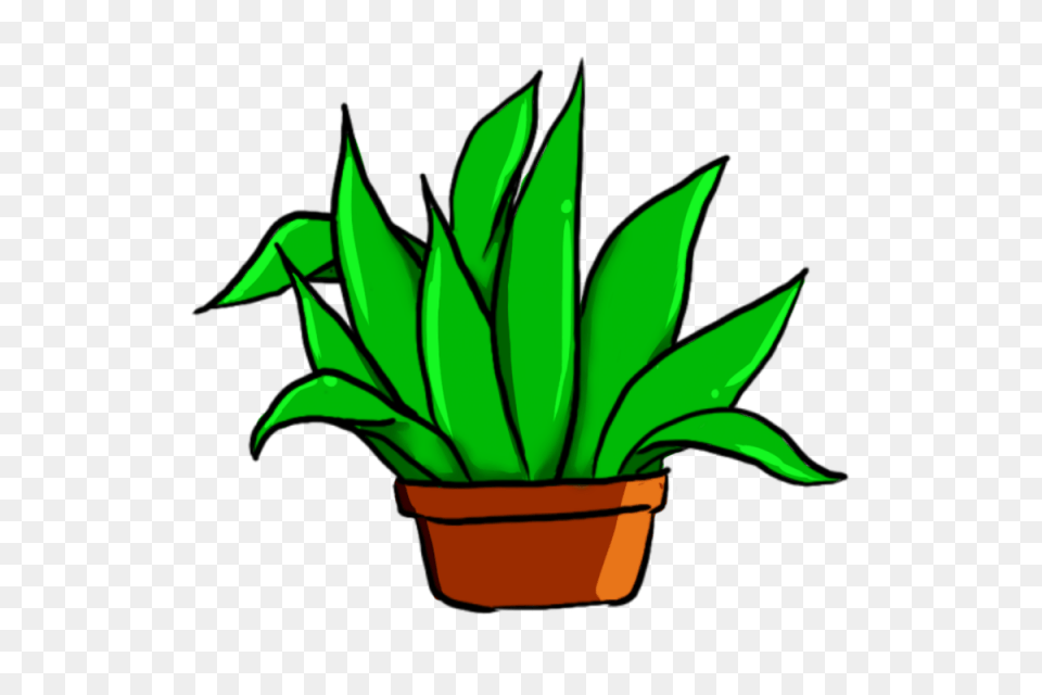 Plant Green Leaf And For Download, Potted Plant, Aloe Free Png