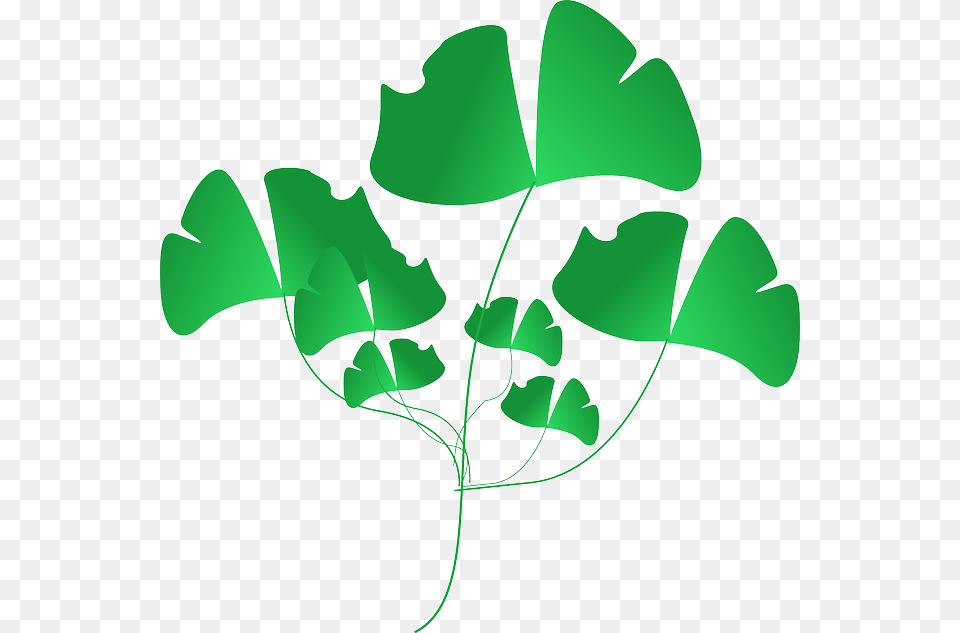 Plant Green Leaves Nature Weeds Portable Network Graphics, Leaf Png Image