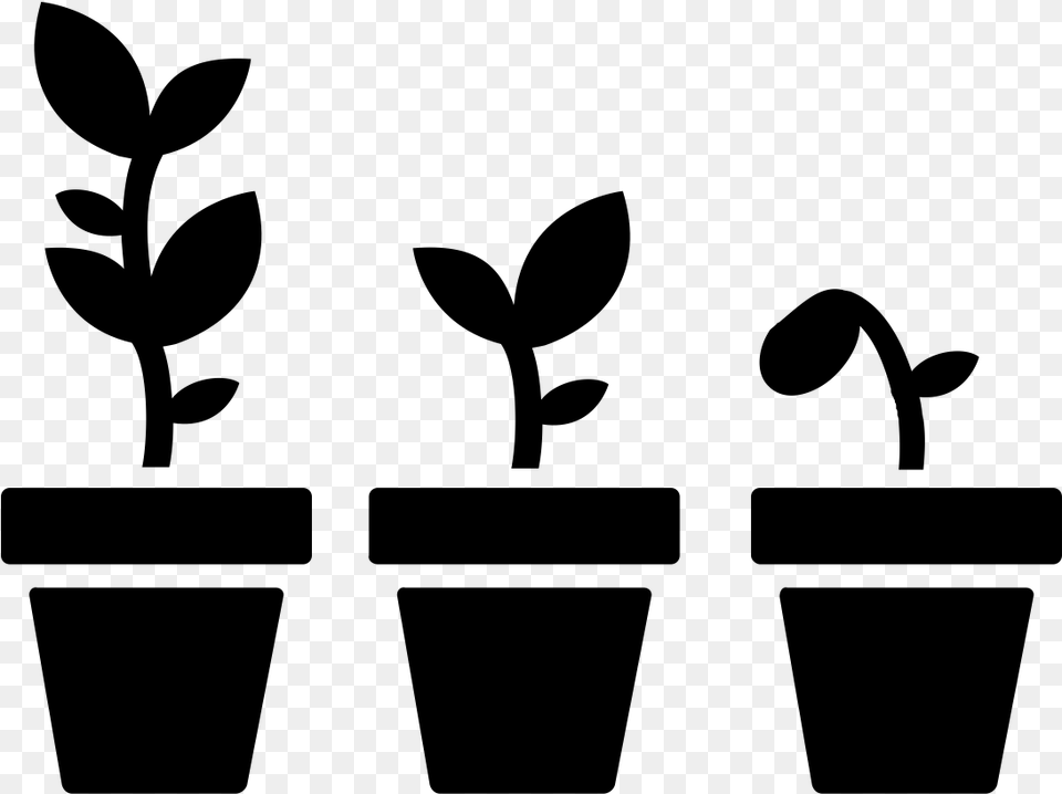 Plant Growing Icon, Gray Free Png