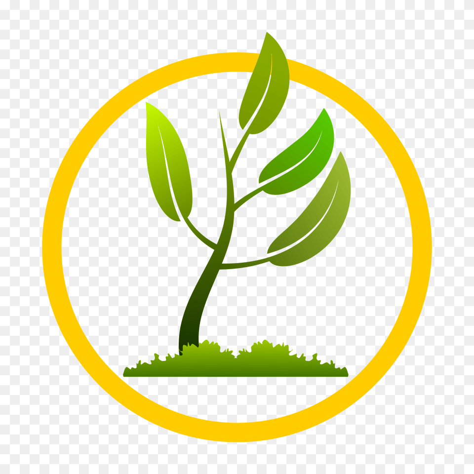 Plant Growing Image, Herbal, Herbs, Leaf, Green Free Transparent Png