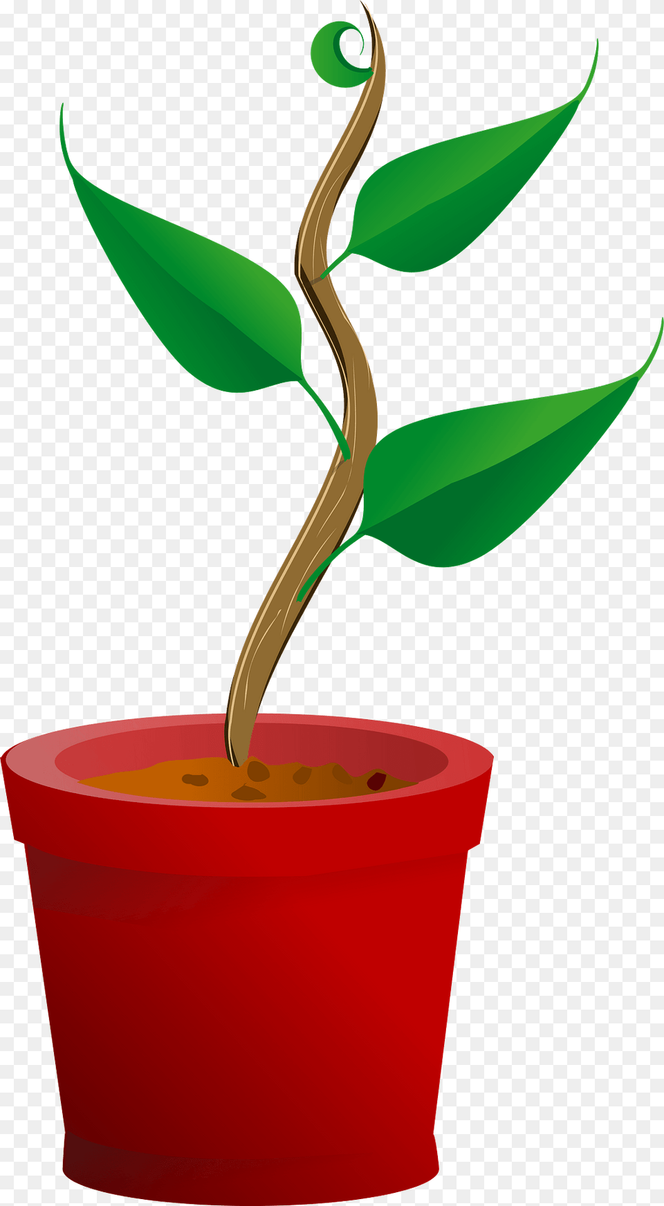 Plant Growing In A Red Pot Clipart, Leaf, Potted Plant, Tree, Cookware Free Png Download