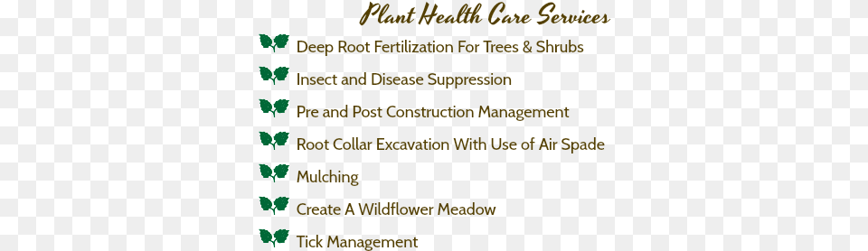 Plant Health Care Services A Deep Root Fertilization Tree, Text, Book, Publication Png Image